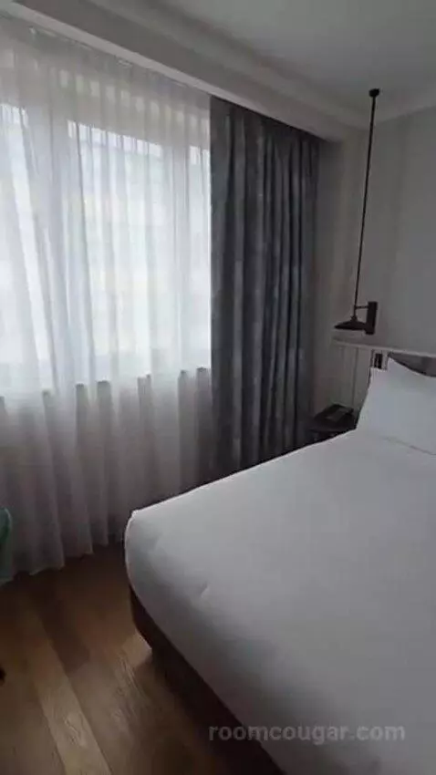 Deluxe King Room bed picture #9