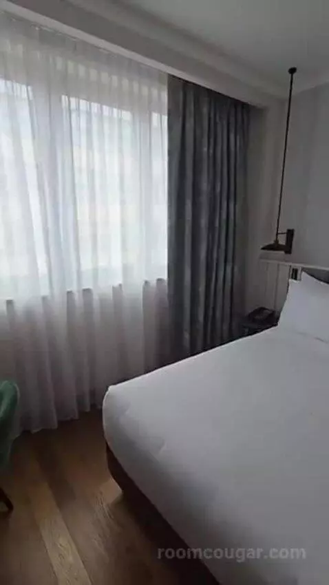 Deluxe King Room bed picture #10