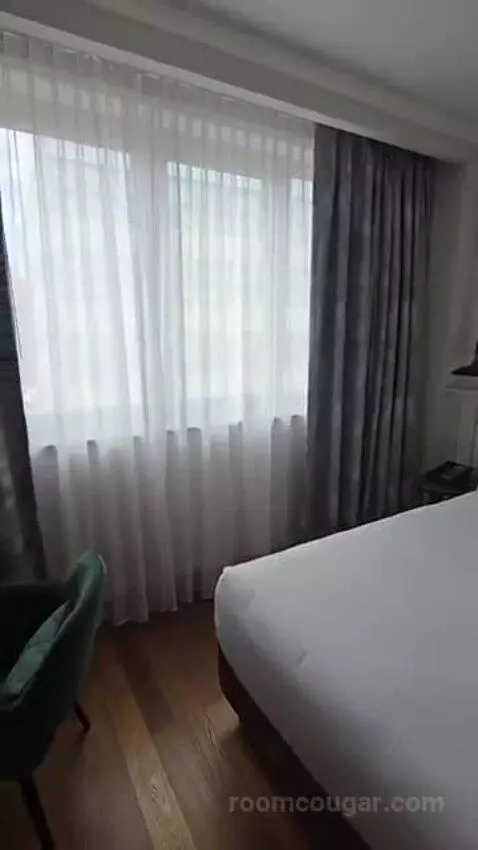 Deluxe King Room bed picture #11