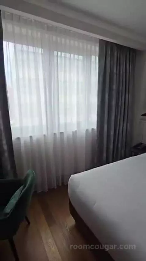 Deluxe King Room bed picture #12