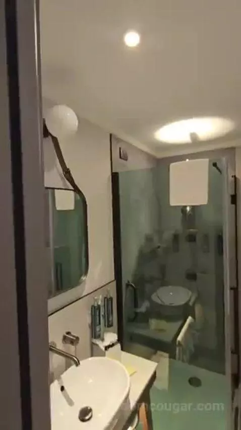 Deluxe King Room bathroom picture #1