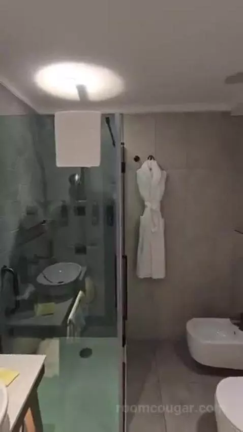 Deluxe King Room bathroom picture #6
