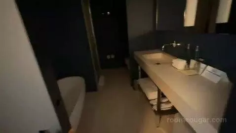 Deluxe King Room with City View bathroom picture #4