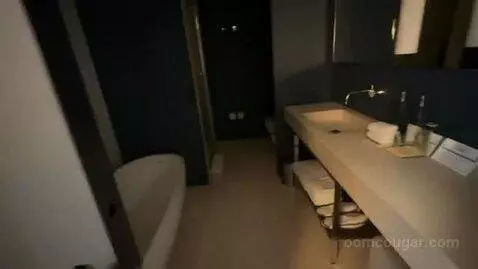 Deluxe King Room with City View bathroom picture #5