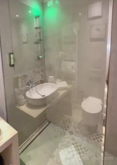 Deluxe Double bathroom picture #7