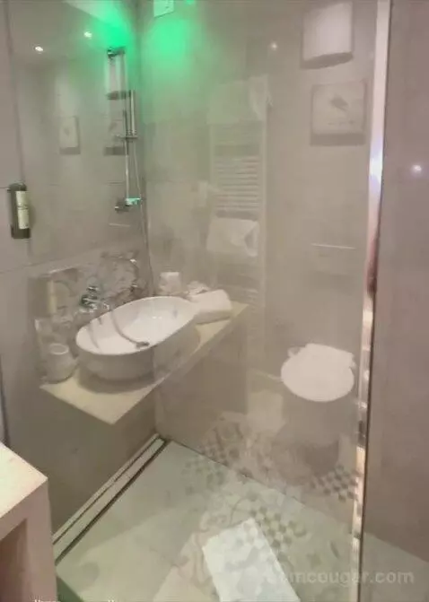 Deluxe Double bathroom picture #8