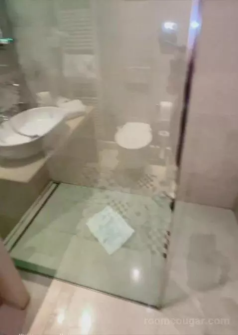 Deluxe Double bathroom picture #10