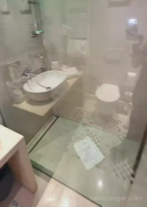 Deluxe Double bathroom picture #12