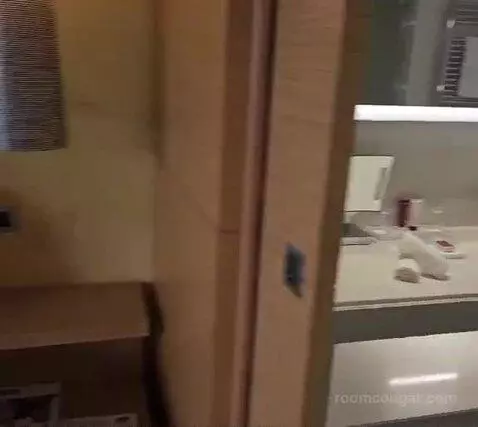 Standard bed picture #9