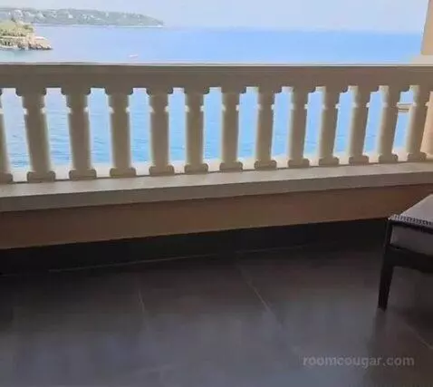 Standard view picture #2