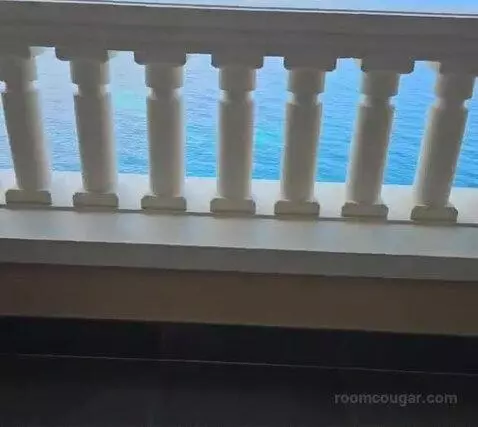 Standard picture #16