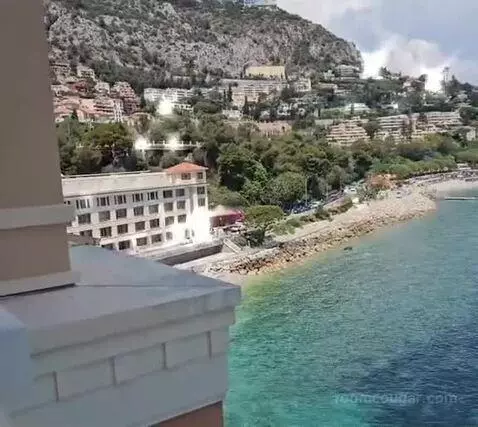 Standard picture #19