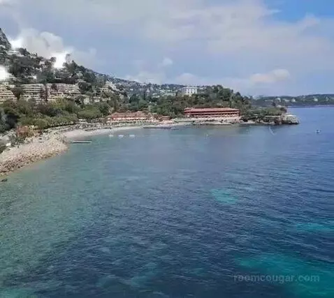 Standard view picture #6