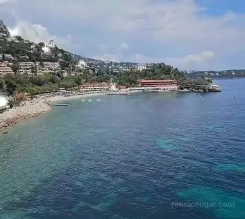 Standard picture #21