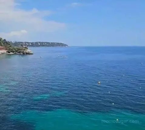 Standard view picture #7