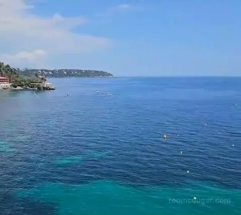 Standard picture #22