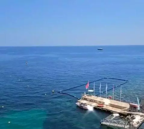 Standard view picture #8