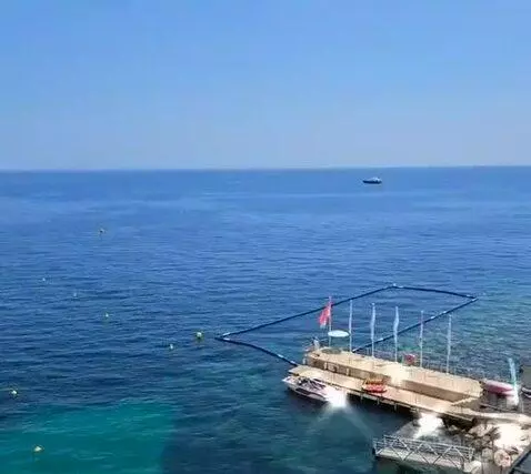 Standard picture #23