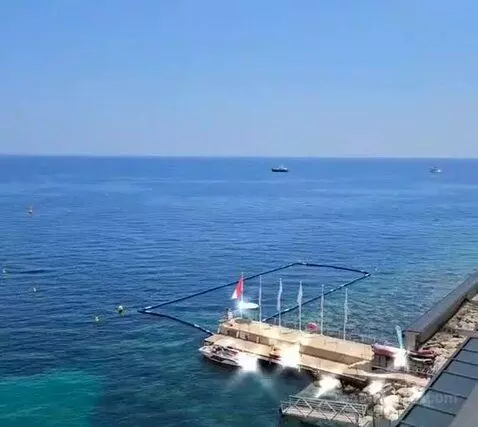 Standard picture #24