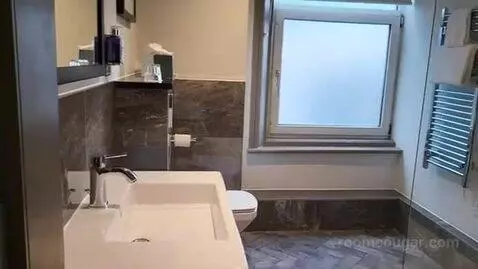 Deluxe Suite bathroom picture #1