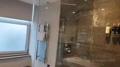 Deluxe Suite bathroom picture #3