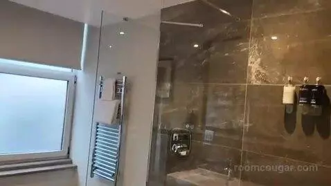 Deluxe Suite bathroom picture #4
