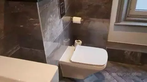 Deluxe Suite bathroom picture #5