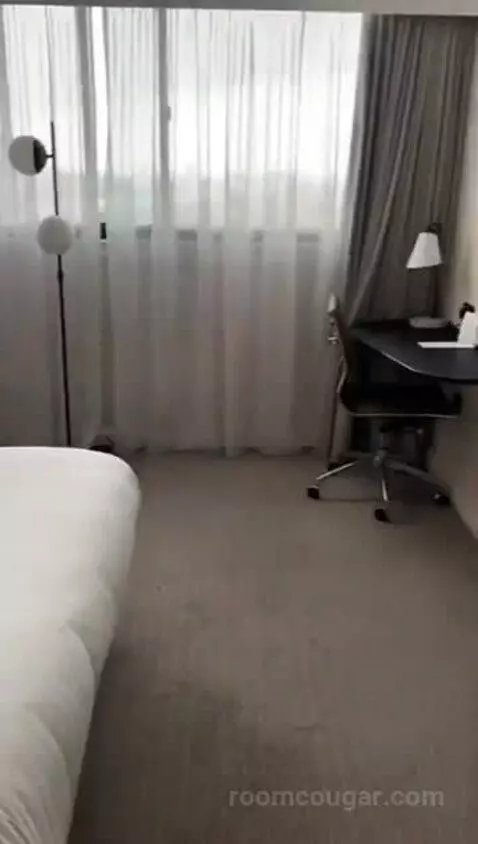 Superior King Room picture #13