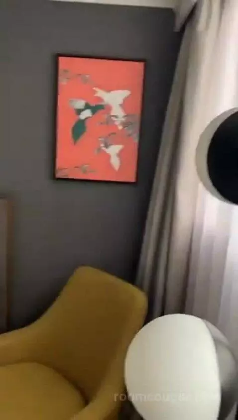 Superior King Room picture #21