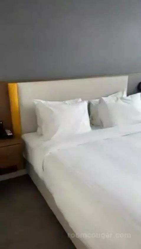 Superior King Room picture #10