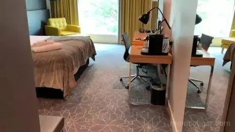 Superior King Room bed picture #2
