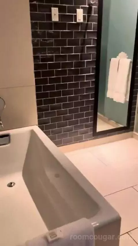 Deluxe King Room bathroom picture #8