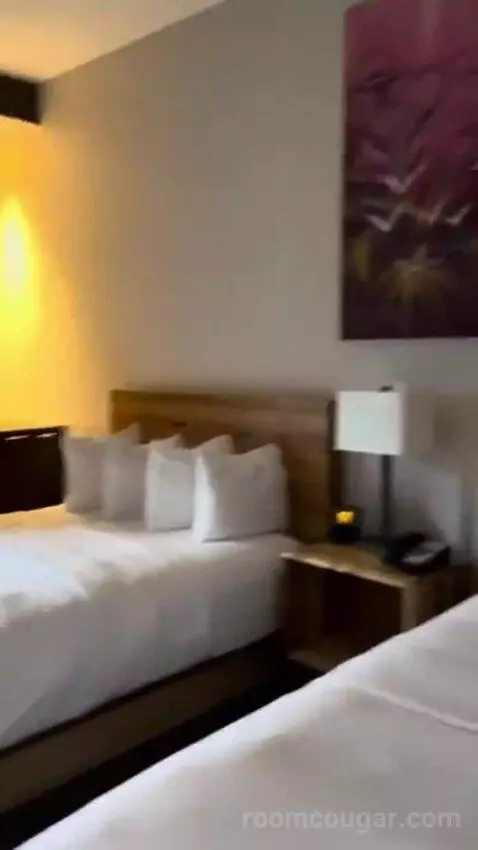 Deluxe King Room bed picture #12