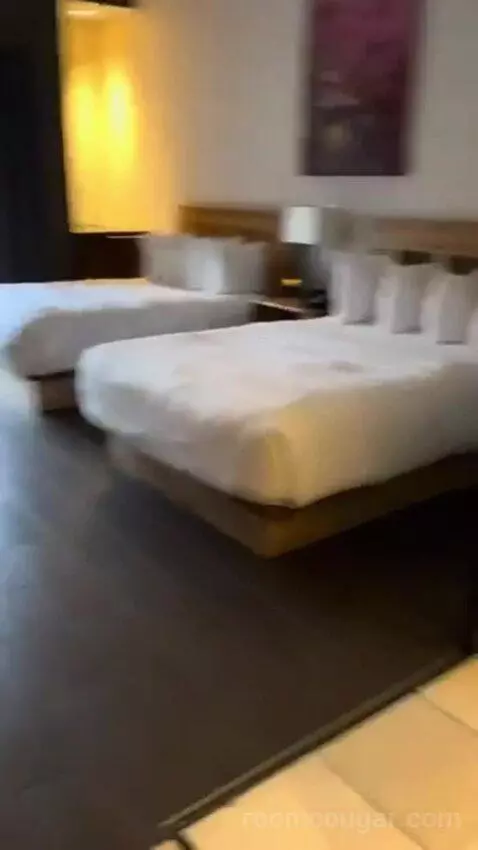 Deluxe King Room bed picture #5