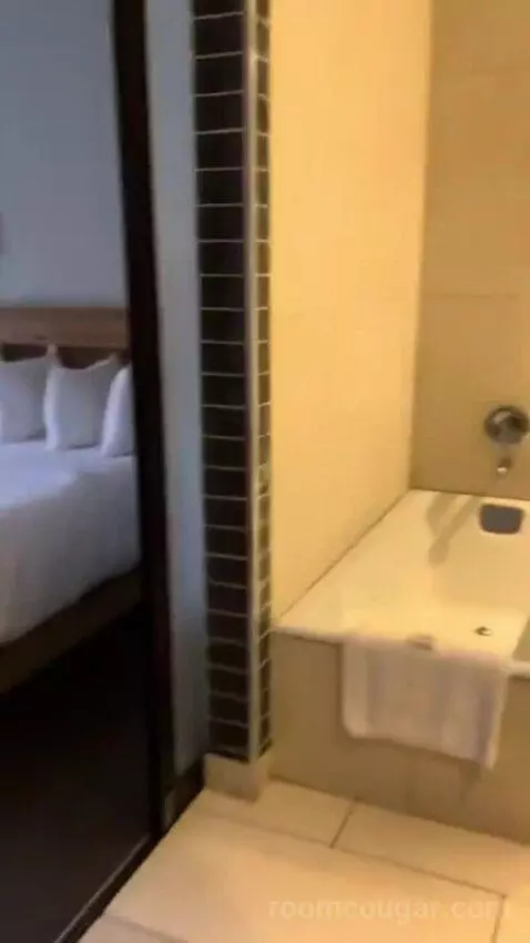 Deluxe King Room bathroom picture #1