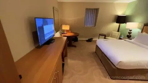 Superior King Room bed picture #2