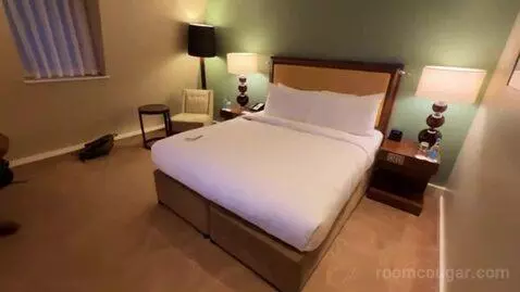 Superior King Room bed picture #4