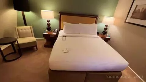 Superior King Room bed picture #5