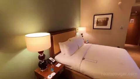 Superior King Room bed picture #7