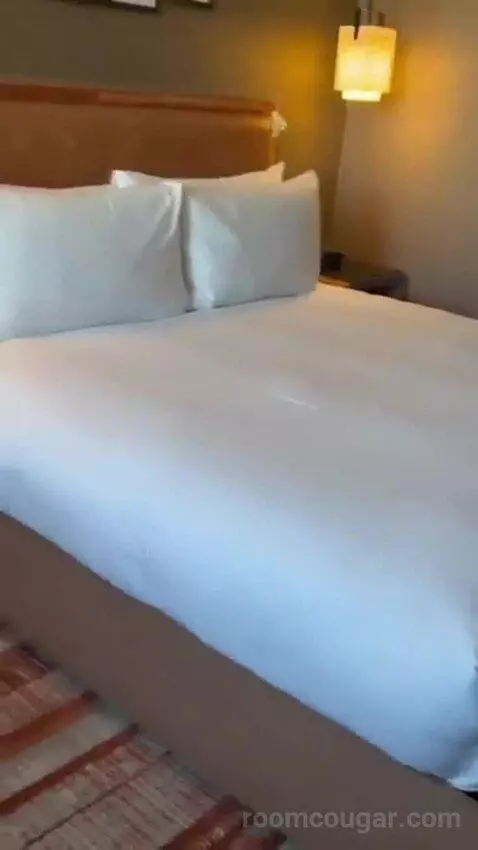 King Room bed picture #6