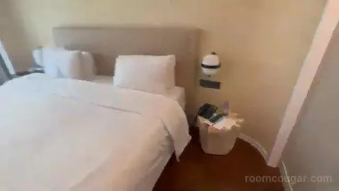 Classic Room with Courtyard View, King Bed bed picture #7