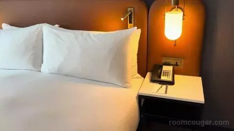 Suite with Park View bed picture #4