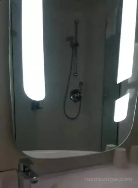 Double Room bathroom picture #2