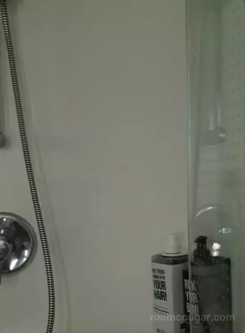 Double Room bathroom picture #6