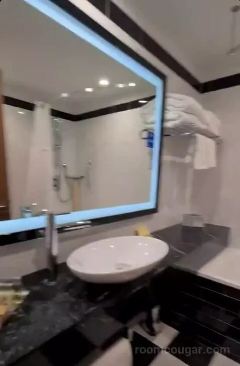 Deluxe King Room bathroom picture #2
