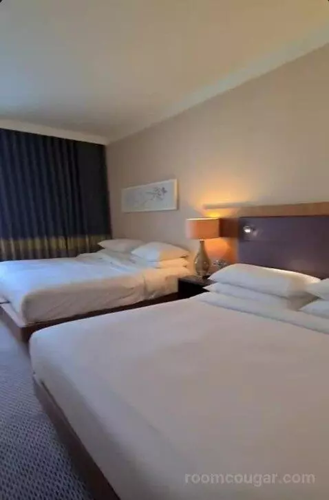 Deluxe King Room bed picture #2