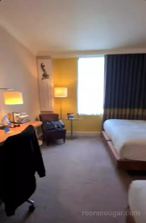 Deluxe King Room bed picture #3