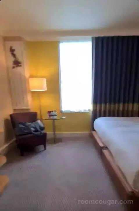 Deluxe King Room bed picture #4