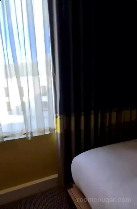Deluxe King Room bed picture #6