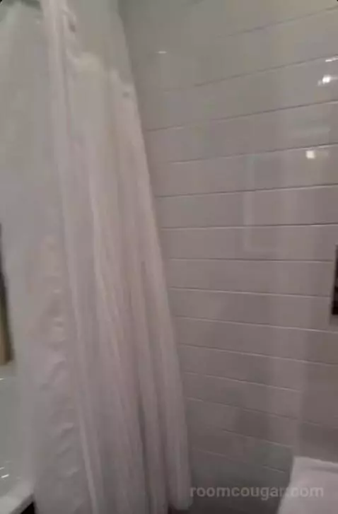 Deluxe King Room bathroom picture #6